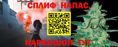 гашик Сланцы