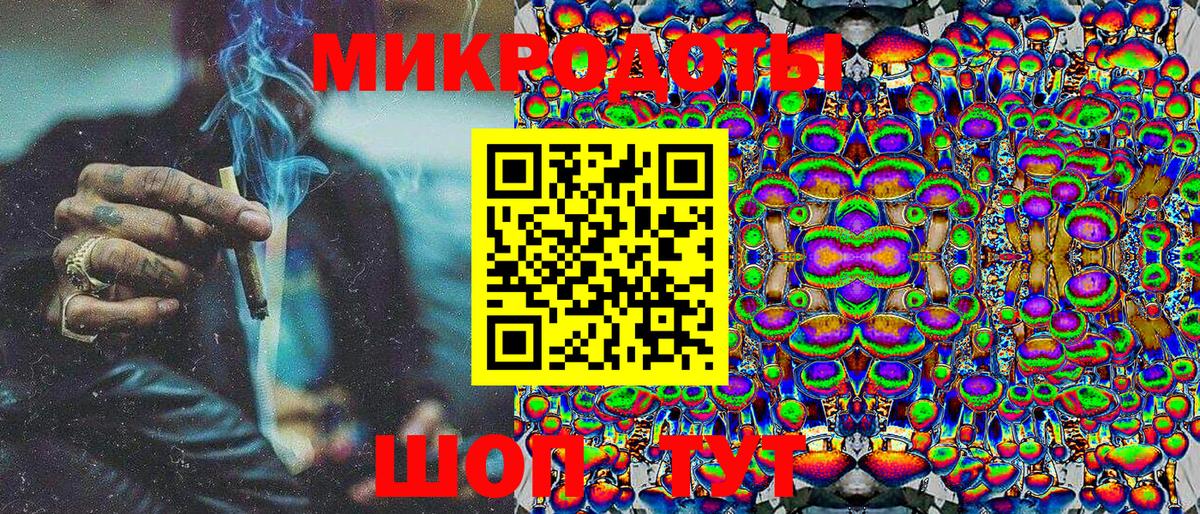 Псилоцибиновые грибы Cubensis Павлово